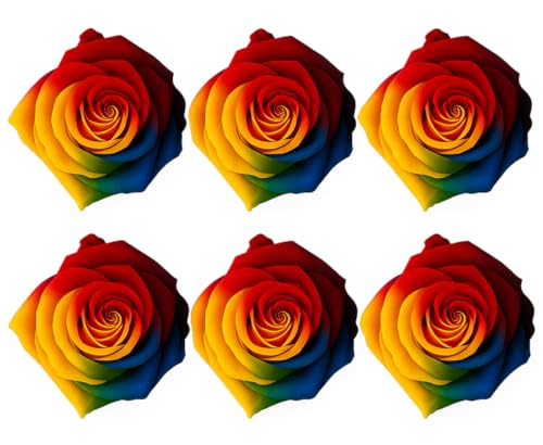 Box mit 6 Ewigen Rosen in Dark Tie-Dye | Haltbarkeit über 3 Jahre | Konservierte Rosen für Dekoration und Geschenk | DIY – Bastelideen | Hochzeiten, Jubiläen und Blumenarrangements Box mit 6 Ewigen Rosen in Dark Tie-Dye | Haltbarkeit über 3 Jahre | Konservierte Rosen für Dekoration und Geschenk | DIY – Bastelideen | Hochzeiten, Jubiläen und Blumenarrangements von LA ROSEE ETERNELLE