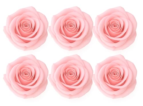 Box mit 6 Ewigen Rosen in Baby Pink | Haltbarkeit über 3 Jahre | Konservierte Rosen für Dekoration und Geschenk | DIY – Bastelideen | Hochzeiten, Jubiläen und Blumenarrangements von LA ROSEE ETERNELLE