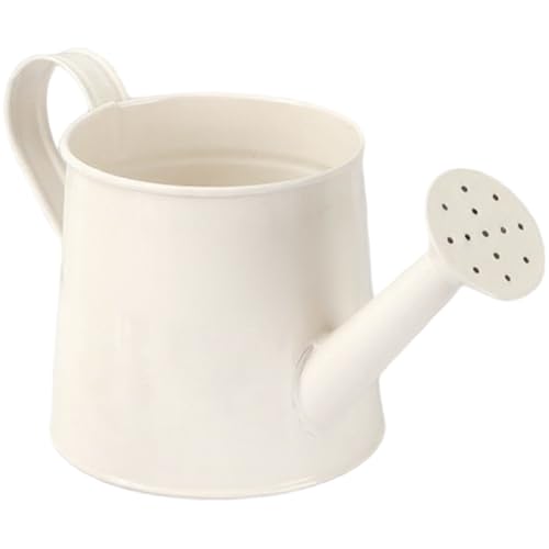 LAANCOO Dose Metall, verzinktes Blütengaswasser mit kleinem Metall mit Griff und Nicht rutschem Boden für den Gebrauch von Garten in Innen- und Außenbereich, Outdoor LAANCOO Dose Metall, verzinktes Blütengaswasser mit kleinem Metall mit Griff und Nicht rutschem Boden für den Gebrauch von Garten in Innen- und Außenbereich, Outdoor von LAANCOO