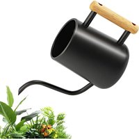 Kleine Gießkanne 1L – Gießkanne für Zimmerpflanzen mit langem Ausguss und komfortablem Holzgriff – Edelstahl-Gießkanne für Topfpflanzen – Schwarze Kleine Gießkanne 1L – Gießkanne für Zimmerpflanzen mit langem Ausguss und komfortablem Holzgriff – Edelstahl-Gießkanne für Topfpflanzen – Schwarze von LABLANC