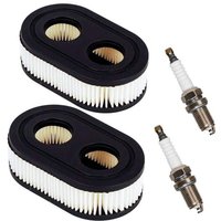 L- oder Luftfilter für Verbrennungsmotoren. Motorteile. Rasenmäher-Luftfilter mit 2 Zündkerzen L- oder Luftfilter für Verbrennungsmotoren. Motorteile. Rasenmäher-Luftfilter mit 2 Zündkerzen von LABLANC