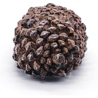 Schlüsselbox in Form eines Tannenzapfens für den Außenbereich – Geheimes Schlüsselversteck in Steinoptik für die Aufbewahrung im Freien Schlüsselbox in Form eines Tannenzapfens für den Außenbereich – Geheimes Schlüsselversteck in Steinoptik für die Aufbewahrung im Freien von LABLANC