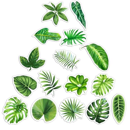 LABRIMP 16 Stück Teiliges Palmblatt Kühlschrankmagnete Dekorative Pflanzen Magnete für Kühlschrank Mikrowelle Büromemo Stark Haftend und Wiederverwendbar LABRIMP 16 Stück Teiliges Palmblatt Kühlschrankmagnete Dekorative Pflanzen Magnete für Kühlschrank Mikrowelle Büromemo Stark Haftend und Wiederverwendbar von LABRIMP