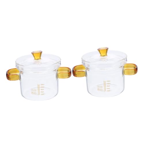 LABRIMP 2 Stück Transparente Doppeldampf Topf mit Deckel Kochtopf für Suppen und Beilagen Hitzebeständig und Ergonomisch für Partys von LABRIMP