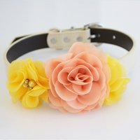 Dog Halsbänder von LADogStore