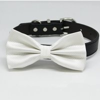 Weißer Fliege Kragen Handgemacht Xs Bis Xxl Und Schleife Verstellbar Puppy Hundeliebhaber Ringträger Blau Marine Schwarz Braun von LADogStore