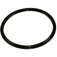 Tankdichtung mit 240 mm Durchmesser für Ofen Lagostina Coach 090003010209 Tankdichtung mit 240 mm Durchmesser für Ofen Lagostina Coach 090003010209 von LAGOSTINA