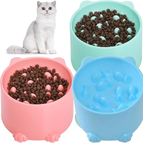 Erhöhter Futternapf aus Kunststoff, um 15 Grad geneigt, für Katzen und kleine Hunde, 3 Stück Erhöhter Futternapf aus Kunststoff, um 15 Grad geneigt, für Katzen und kleine Hunde, 3 Stück von LAIBUY