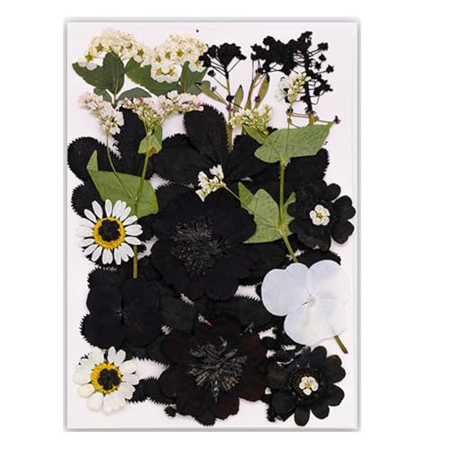 Klassisches schwarzes Design-Lesezeichen aus echten Blättern, trockene Blume zum Lesen und elegante Geschenke, handgefertigte Blatt-Lesezeichen Klassisches schwarzes Design-Lesezeichen aus echten Blättern, trockene Blume zum Lesen und elegante Geschenke, handgefertigte Blatt-Lesezeichen von LAIOUSN