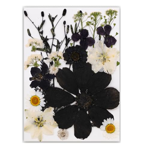 Klassisches schwarzes Design-Lesezeichen aus echten Blättern, trockene Blume zum Lesen und elegante Geschenke, handgefertigte Blatt-Lesezeichen Klassisches schwarzes Design-Lesezeichen aus echten Blättern, trockene Blume zum Lesen und elegante Geschenke, handgefertigte Blatt-Lesezeichen von LAIOUSN