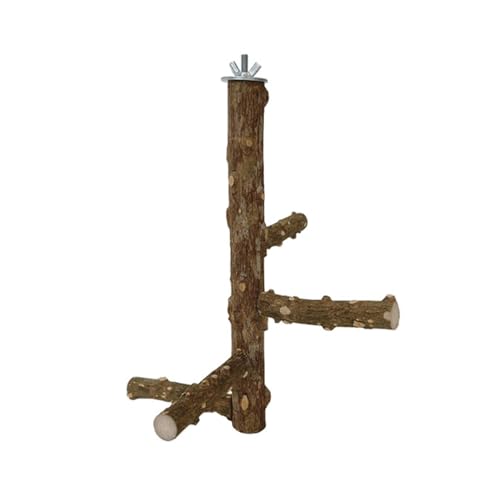 Kletterleiter Hängeringe Vogelspielzeug Haltbarkeit Holz Vogel Papageien Plattform für Spielkäfig Unterhaltung Kletterleiter Hängeringe Vogelspielzeug Haltbarkeit Holz Vogel Papageien Plattform für Spielkäfig Unterhaltung von LAIOUSN