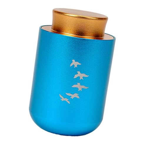 LAIOUSN Gedenkurne für die Einäscherung von Schmuck, Haustier-Asche, Schatulle, kreative Urne, Schatulle, Edelstahl, Asche, Gedenkbox von LAIOUSN