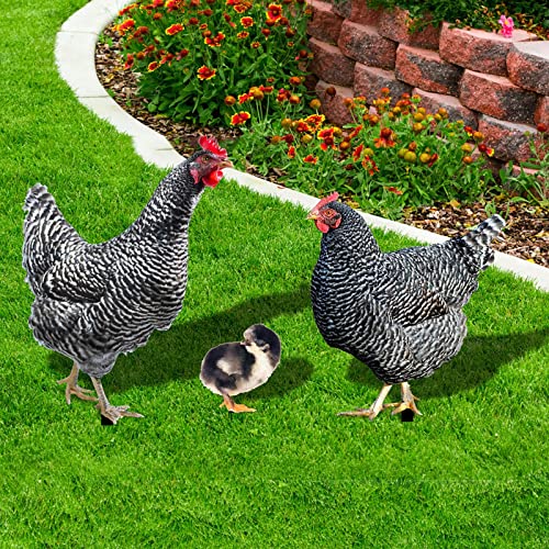 3PC Huhn Gartendeko Huhn Gartenfiguren Dekoration Garten Huhn Deko Lustiger Garten Huhn Familie Ornament Huhn Gartenstatue Outdoor Garten Tierfigur Huhn Gartenstecker (Multicolor-C, One Size) von LAJIAOMIAN