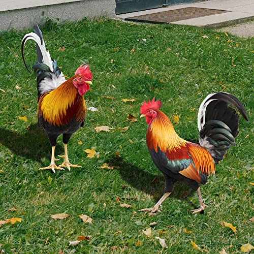 LAJIAOMIAN 2PC Huhn Gartendeko Huhn Gartenfiguren Dekoration Garten Huhn Deko Lustiger Garten Huhn Familie Ornament Huhn Gartenstatue Outdoor Garten Tierfigur Huhn Gartenstecker (A,B-A, One Size) von LAJIAOMIAN