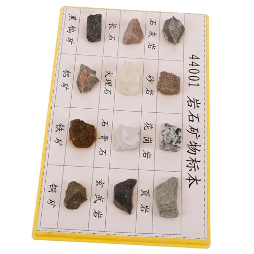 LALADEFIEE 12 Stck. Teiliges Mineralien-gesteins- Kompakte Proben für Unterricht Feldtest und Labor Vielseitige Sammlung für Schüler und Enthusiasten Leicht Tragbar und Einfach zu Verwenden LALADEFIEE 12 Stck. Teiliges Mineralien-gesteins- Kompakte Proben für Unterricht Feldtest und Labor Vielseitige Sammlung für Schüler und Enthusiasten Leicht Tragbar und Einfach zu Verwenden von LALADEFIEE
