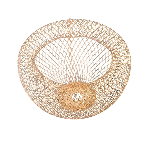 LALAFINA 1 Stück Dekorativer Lampenschirm Eisen Goldfarbene Hängelampe Vintage Lampe für Wohnräume Geeignet für Hotel Bar Schlafzimmer und LALAFINA 1 Stück Dekorativer Lampenschirm Eisen Goldfarbene Hängelampe Vintage Lampe für Wohnräume Geeignet für Hotel Bar Schlafzimmer und von LALAFINA