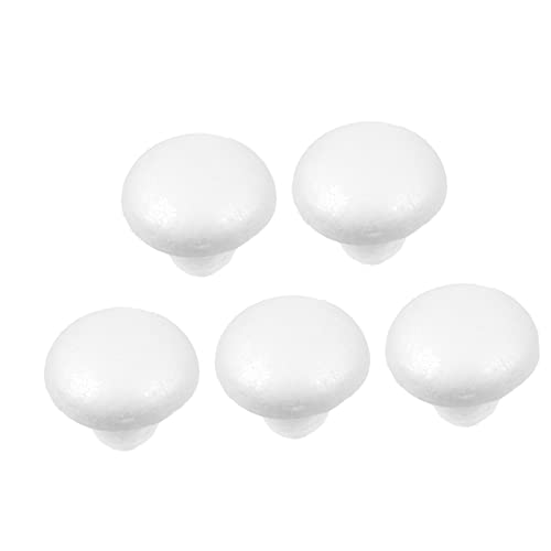 LALAFINA 2 Sätze Teiliges Ornamente Weißes Modell Für DIY Bastelprojekte Und Dekoration Für Party Und Pflanzenpot Gestaltung 5 Stück * 2 von LALAFINA