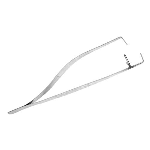 LALAFINA Edelstahl Glasur Zange Präzises Tauchwerkzeug Für Keramik Leicht Und Ergonomisch Gläuranwendungen Zubehör Für Hobbyisten Und Profis Robustes Und Langlebiges Design von LALAFINA