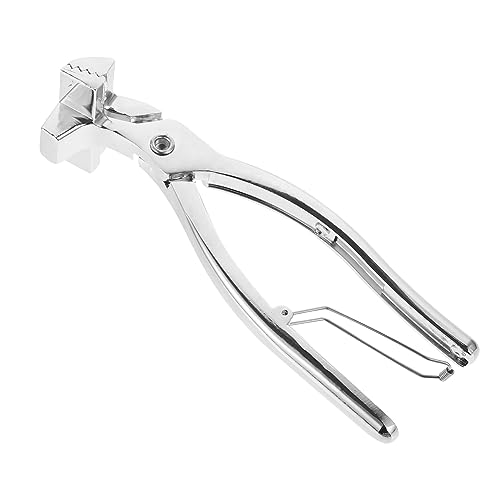 LALAFINA Multifunktionale Ölmalerei Klemme Wet Canvas Clip für Künstler Langlebig und Komfortabel für Zeichnungen Unterricht LALAFINA Multifunktionale Ölmalerei Klemme Wet Canvas Clip für Künstler Langlebig und Komfortabel für Zeichnungen Unterricht von LALAFINA