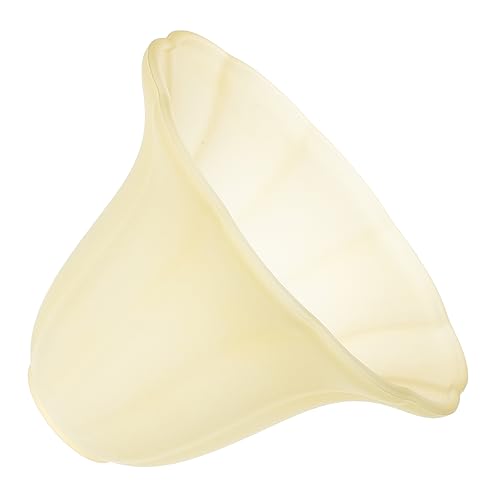 LALAFINA Vintage Lampenschirm Mattes Ersatzglas Lampenabdeckung für Deckenleuchte Wandlampe Schlafzimmer Wohnzimmer Esszimmer von LALAFINA