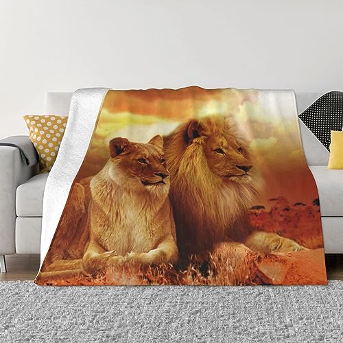 LAMAME African Lion and Lioness printed Super Soft Microfiber Throw Blanket Fluffy Soft Sofa Blanket For All Seasons von LAMAME