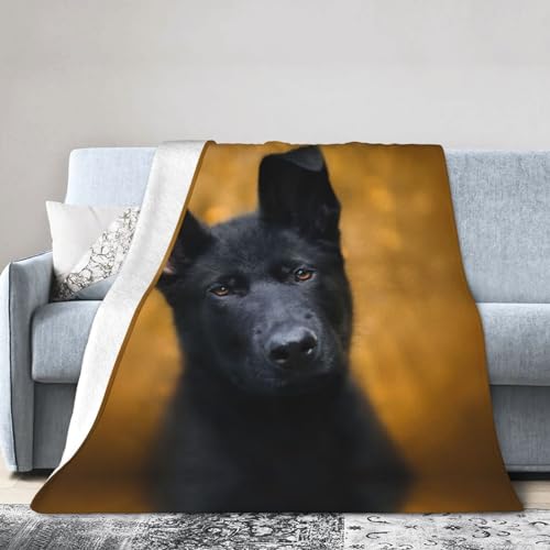 LAMAME Schwarze deutsche Schäferhund gedruckt Weiche Gesichtsdecke Plüsch Decke Vier Jahreszeiten Warme Decke Reisedecke von LAMAME