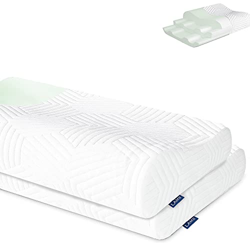 LAMB Höhenverstellbar Memory Foam Kissen Ergonomisches Nackenstützkissen 50D Dichte Abnehmbarer Bezug Geeignet Für Seitenlage-Blau，2 Stück von LAMB