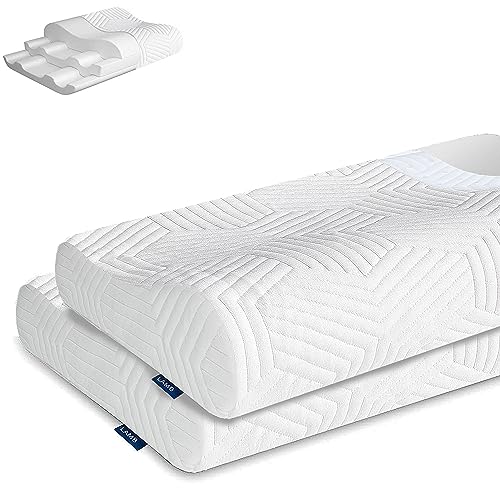 LAMB Neu für 2024 Höhenverstellbar Memory Foam Kissen Ergonomisches Nackenstützkissen 50D Dichte Abnehmbarer Bezug Geeignet Für Seitenlage-Blau, 2 Stück von LAMB