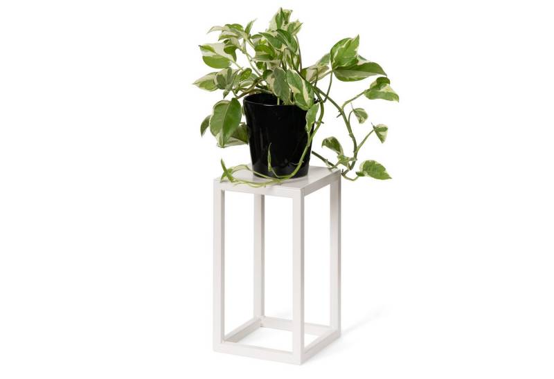 LAMO Manufaktur Blumenständer LAMO Manufaktur Blumenständer Elfenbein aus Metall 28cm (Dekorativer Metallständer, 1 St., 2-Teilig), Blumenständer modern, für Skulpturen und Deko, kleiner Blumenhocker von LAMO Manufaktur