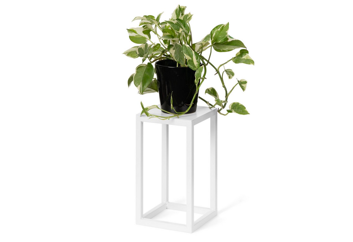 LAMO Manufaktur Blumenständer LAMO Manufaktur Blumenständer Weiß aus Metall 28 cm (Dekorativer Metallständer, 1 St., 2-Teilig), Blumenständer modern, für Skulpturen und Deko, kleiner Blumenhocker von LAMO Manufaktur