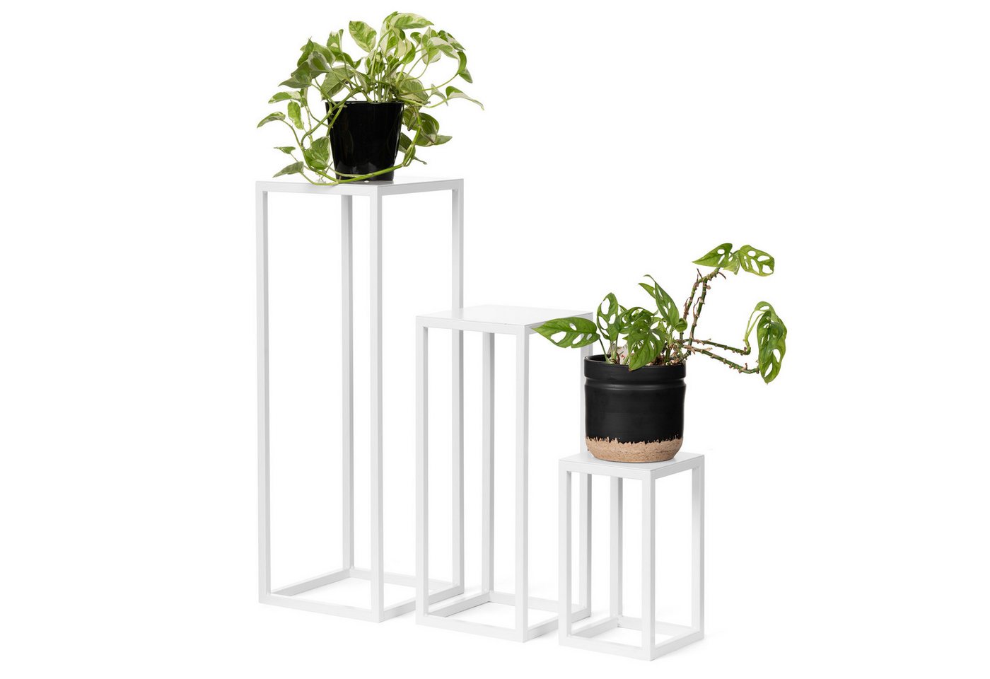LAMO Manufaktur Blumenständer LAMO Manufaktur Pflanzenständer Set 3 Stück 28/48/68 cm Weiß (Dekorativer Metallständer, 3 St., 2-Teilig), Blumenständer, Metallständer für Skulpturen, Deko und große Pflanzen von LAMO Manufaktur