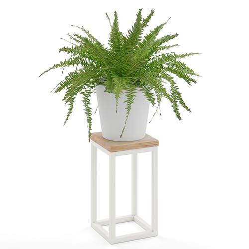 LAMO Manufaktur Blumenständer Weiss Metall | Pflanzenständer Holz mit Natur Farbe | Blumenhocker klein 30 cm für große Zimmerpflanzen | 100% Echtholz | Sockel für Skulpturen von LAMO