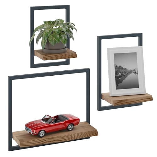 LAMO Manufaktur Wandregale aus Holz Set 3 St. 15/20/35cm | Küchenregal Wand, Badezimmer Regal Hängend, Wandregal Wohnzimmer | Farbe: Nussbaum, Rahmen: Anthrazit von LAMO