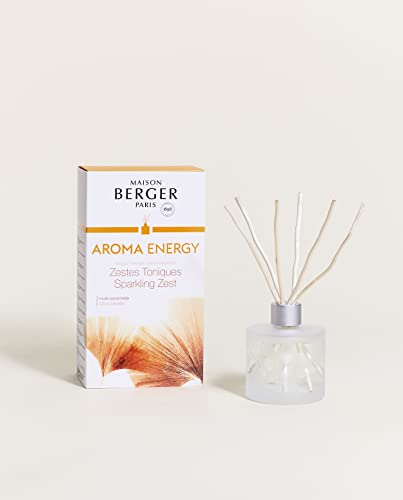 Lampe Berger Duftbouquet Aroma Energy Zestes Toniques / Zitrusschalen 180 ml von LAMPE BERGER