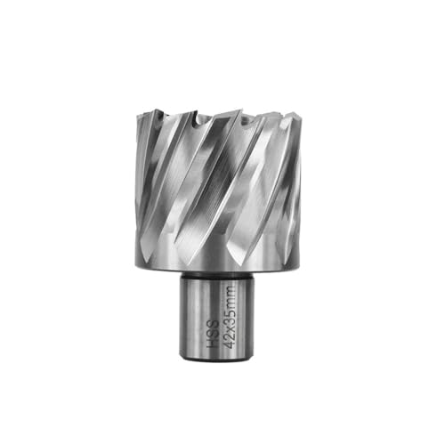 CMCP HSS Kernbohrer Ringschneider 6-60 mm Hohlbohrer 19 Weldonschaft Lochöffner Metallbohrwerkzeuge(15x55mm) von LANAPPTLTG