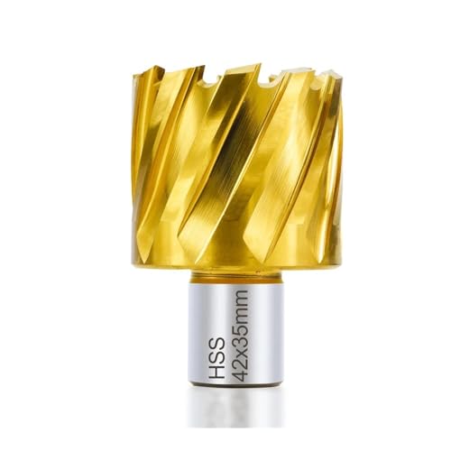 CMCP HSS Kernbohrer Ringschneider 6-60 mm Hohlbohrer 19 Weldonschaft Lochöffner Metallbohrwerkzeuge(30x35mm) von LANAPPTLTG