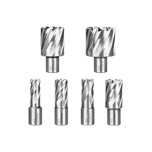 CMCP HSS-Ringschneider, 6–60 mm, Kernbohrer, 19 Weldon-Schaft, Hohlbohrer, Lochsägenschneider, passend for Metallschneidwerkzeug(19x35mm) von LANAPPTLTG