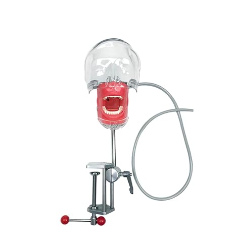 Dentales Phantomkopfmodell, Dental-Mannequinkopf mit Tischhalterung, 360-Grad-Einstellung, für Simulation, Praxis, Lehre und Demonstration Dentales Phantomkopfmodell, Dental-Mannequinkopf mit Tischhalterung, 360-Grad-Einstellung, für Simulation, Praxis, Lehre und Demonstration von LANCOURT