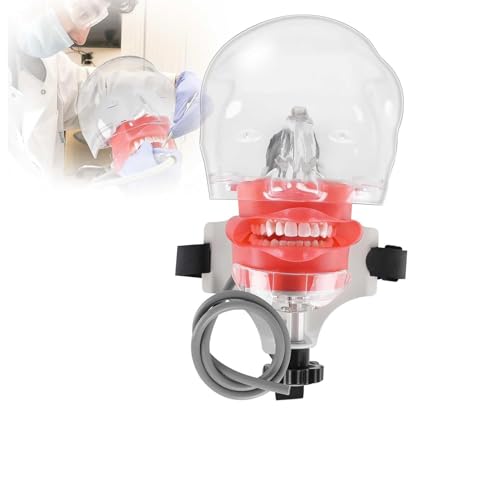 Dentalpuppen-Simulator-Phantomkopf – mit Typodont-Zahnmodell, Das auf Dem Stuhl Befestigt Ist, 1:1, Hohe Emulation, 360-Grad-verstellbar, für Zahnmedizinische Schulen, Laborausbildung Dentalpuppen-Simulator-Phantomkopf – mit Typodont-Zahnmodell, Das auf Dem Stuhl Befestigt Ist, 1:1, Hohe Emulation, 360-Grad-verstellbar, für Zahnmedizinische Schulen, Laborausbildung von LANCOURT