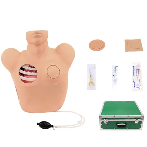 Thorakozentese- und Drainagemodell, Trainingspuppe für Thorakozentese, anatomisches Modell aus PVC, Trainingsmodell für die Behandlung von Pneumothorax und geschlossener Thoraxdrainage Thorakozentese- und Drainagemodell, Trainingspuppe für Thorakozentese, anatomisches Modell aus PVC, Trainingsmodell für die Behandlung von Pneumothorax und geschlossener Thoraxdrainage von LANCOURT