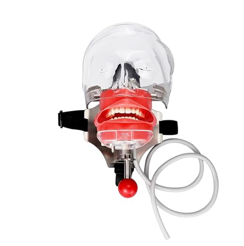 Zahnärztlicher Simulator-Übungskopf, Zahnärztlicher Simulator, Labor-Zahnphantomkopf, Kunststoff-Lehrmodell für Zähne, Zahnmodell-Trainingsbank, Befestigung auf dem Schreibtisch Zahnärztlicher Simulator-Übungskopf, Zahnärztlicher Simulator, Labor-Zahnphantomkopf, Kunststoff-Lehrmodell für Zähne, Zahnmodell-Trainingsbank, Befestigung auf dem Schreibtisch von LANCOURT