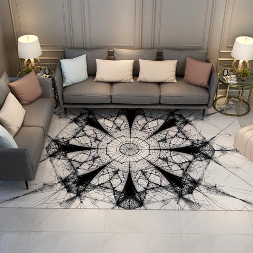 LANDERSION Schwarz Weiß Teppiche radial geometrisch Science Fiction Raum modernes einzigartiges Design weicher waschbarer dünner Teppich für Esszimmerstudio 90x120cm von LANDERSION