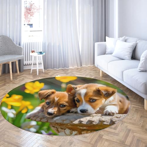 Niedlicher Tier Hund Runder Bereich Teppich rutschfeste gemütliche runde Teppiche verschwommener Hintergrund Druck Teppich Matte für Eingangsbereich Schlafzimmer Sofa Home Decor 90cm Niedlicher Tier Hund Runder Bereich Teppich rutschfeste gemütliche runde Teppiche verschwommener Hintergrund Druck Teppich Matte für Eingangsbereich Schlafzimmer Sofa Home Decor 90cm von LANDERSION