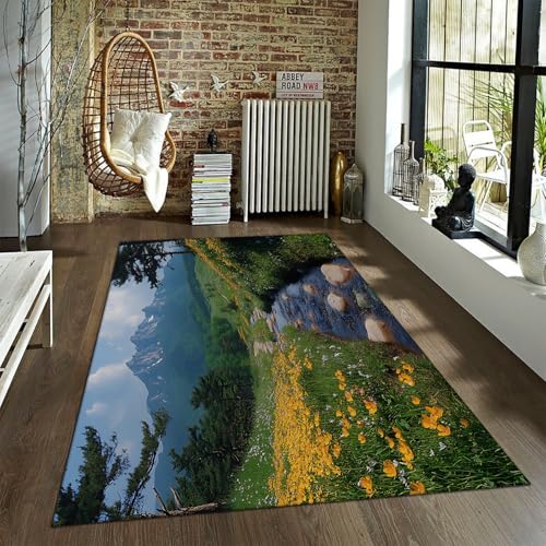 Ruhige Natur Bereich Teppich Nebel Berge Wildblume Wiese Gipfel Akzent Teppiche Weicher Flauschig Dünner Teppich für den Innen- und Außenbereich Balkon 60x90cm Ruhige Natur Bereich Teppich Nebel Berge Wildblume Wiese Gipfel Akzent Teppiche Weicher Flauschig Dünner Teppich für den Innen- und Außenbereich Balkon 60x90cm von LANDERSION
