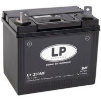 Batterie 12V 21Ah für Rasenmäher Rasentraktor lb U1-250MF von LANDPORT