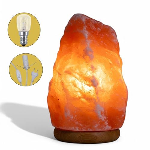 Himalaya Salzlampe Salzkristall Lampe Tischlampe Salzkristalllampe SalzsteinLampe Natürliche Himalaya Rosa Salz Nachtischlampe Salt lamp aus Salt Range Pakistan (4-7 KG) von LANDSTER