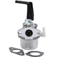 Vergaser 696065 kompatibel mit Briggs & Stratton 696065 697422 110402-0206-E1-TREETALK von LANGRAY