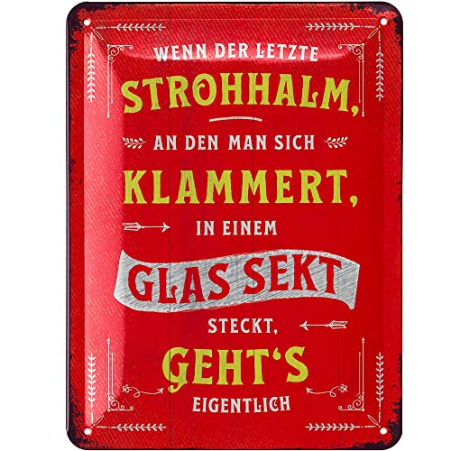 LANOLU Retro Blechschild - Bar Schild, lustige Wanddeko Küche mit Spruch LETZTER STROHHALM IM SEKT STECKT GEHTS - Cocktail Schild Geschenkidee - Metallschilder vintage Deko 15x20cm von LANOLU