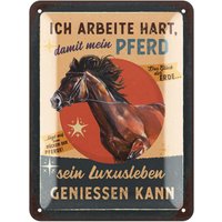 Retro Blechschild Pferde Schild, Geschenke Für Pferdeliebhaber Und Reiter, Boxenschilder Mit Spruch, Poster Deko, Bauernhof Deko von LANOLU