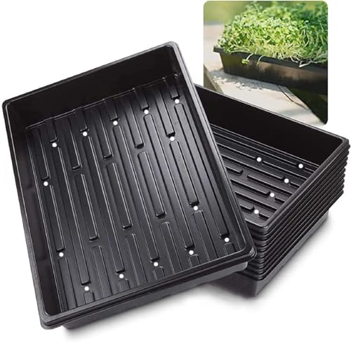 LANPEW Anzuchtschalen Abflusslöcher Perfekte Gartensamen-Anzuchtschalen für Setzlinge Gärtnern im Innenbereich,Mikrogrün Weizengras Hydrokultur (schwarzes 10-Pack with Holes) von LANPEW